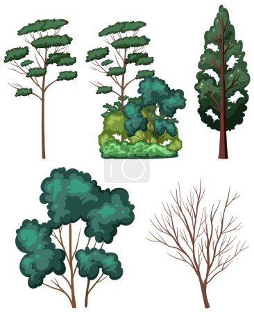 Illustration for Variety trees on white background illustration - Royalty Free Image