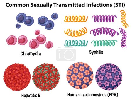 Téléchargez les illustrations : Illustration des infections transmissibles sexuellement (ITS) courantes - en licence libre de droit