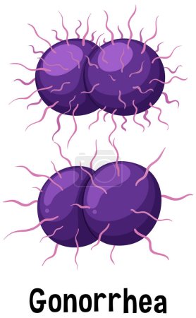 Neisseria gonorrhoeae bacterium with text illustration