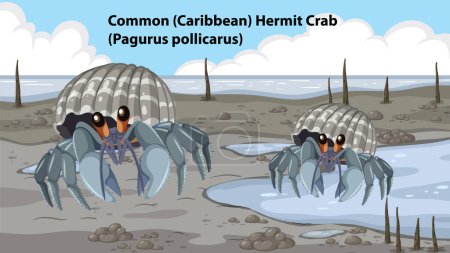 Téléchargez les illustrations : Forêt de crabe commun hermite Illustration animale - en licence libre de droit