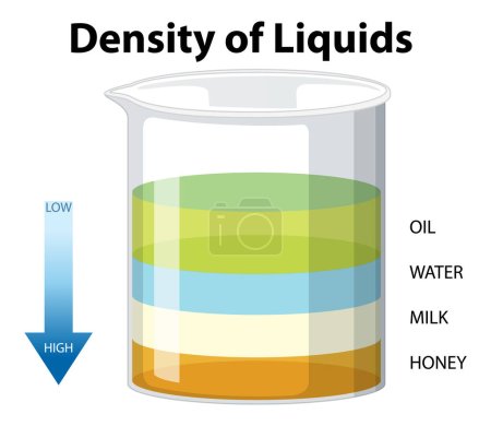 Téléchargez les illustrations : Illustration de Densité des Liquides Science Experiment - en licence libre de droit