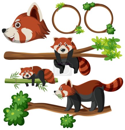 Ilustración de Conjunto de mezcla de ilustración de panda rojo - Imagen libre de derechos