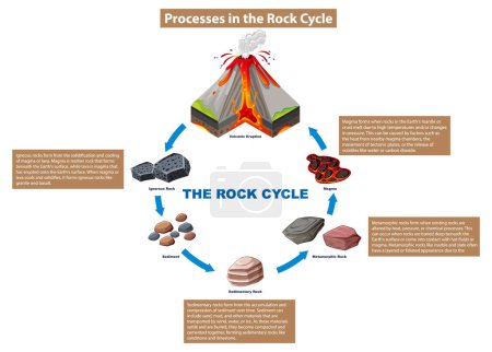 Illustration for Rock Cycle Processes Diagram illustration - Royalty Free Image