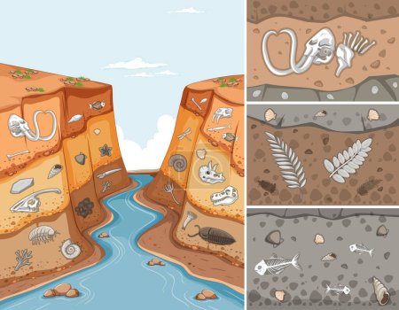 Fossilien und Illustration der geologischen Zeitskala