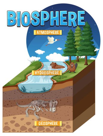 Illustration for Biosphere Ecology Infographic for Learning illustration - Royalty Free Image