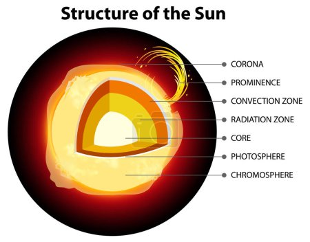 Illustration for The Structure of the Sun illustration - Royalty Free Image