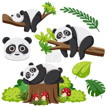 Ilustración de Conjunto de ilustración de personajes de dibujos animados panda - Imagen libre de derechos