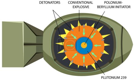 Illustration for Components Inside of Plutonium 239 Nuclear Fission Bomb illustration - Royalty Free Image