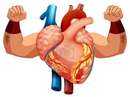 Illustration for Human heart with two strong arms illustration - Royalty Free Image