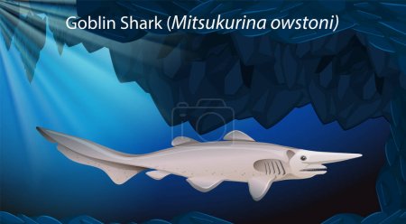 Goblin Shark (Mitsukurina owstoni) Vector Design illustration
