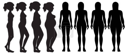 Illustration for A Set of Woman Body Silhouette illustration - Royalty Free Image