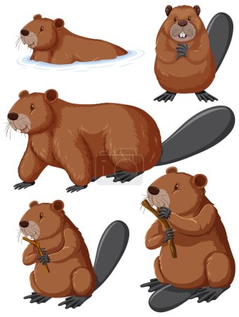Téléchargez les illustrations : Mignon dessin animé Beaver Collection illustration - en licence libre de droit