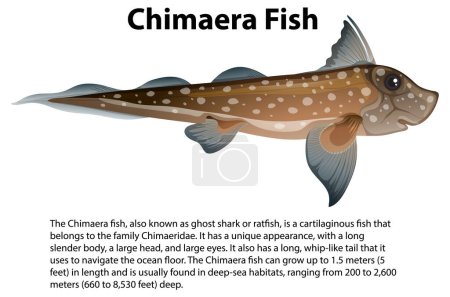 Illustration for Chimaera Fish with Informative Text illustration - Royalty Free Image