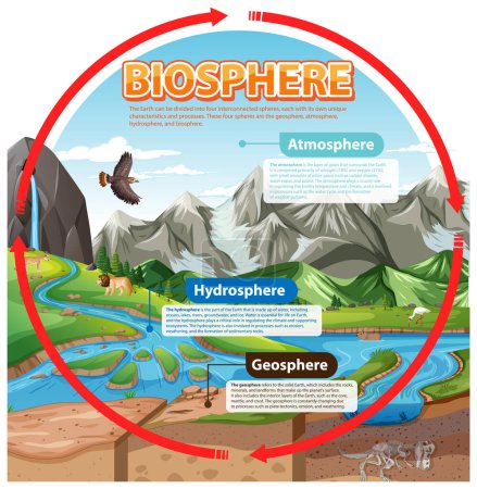 Téléchargez les illustrations : Biosphère Écologie Infographie pour l'apprentissage illustration - en licence libre de droit