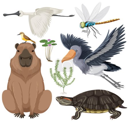 Illustration for Various Wetland Animals Collection illustration - Royalty Free Image
