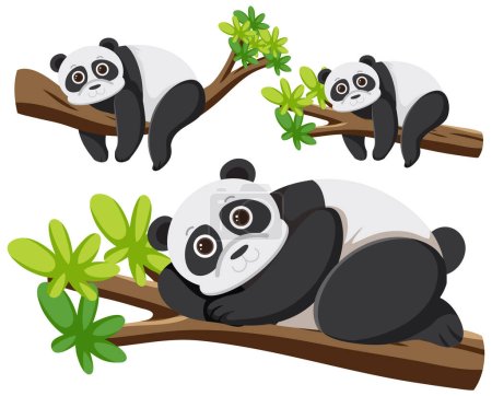Ilustración de Conjunto de ilustración de personajes de dibujos animados panda - Imagen libre de derechos