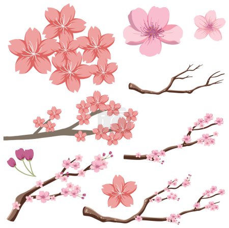 Téléchargez les illustrations : Ensemble de fleurs de cerisier japonais sakura illustration - en licence libre de droit