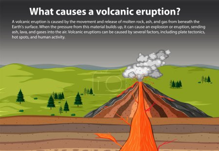 Illustration for What causes a volcanic eruption illustration - Royalty Free Image