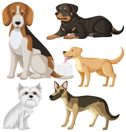 Photo for Set of dog dog breeds cartoon illustration - Royalty Free Image