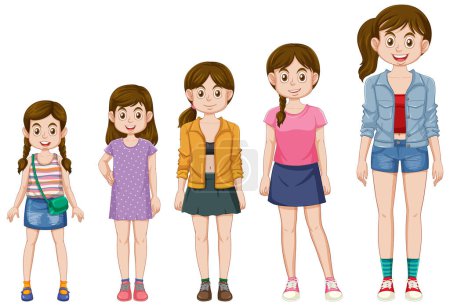 Illustration for The Stages of Growth for a Young Girl illustration - Royalty Free Image