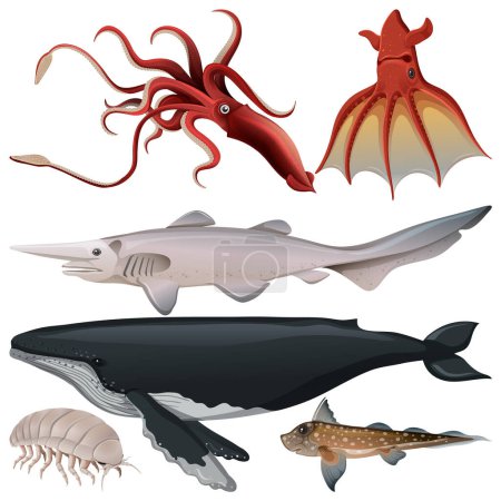 Ilustración de Ilustración de conjunto de vectores de criatura submarina - Imagen libre de derechos