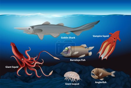 Illustration for Deep Sea Creatures Collection illustration - Royalty Free Image