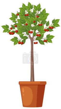 Illustration for Cherry tree in a pot vector illustration - Royalty Free Image