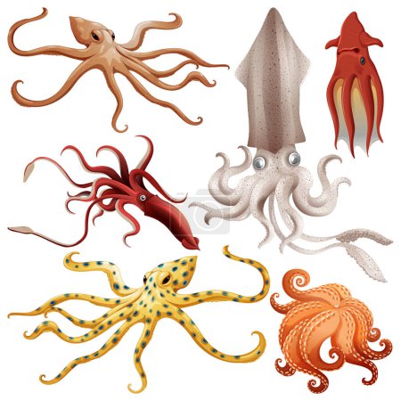 Illustration for Underwater Creature Vector Set illustration - Royalty Free Image