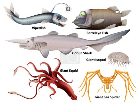 Deep Sea Creatures Sammlung Illustration