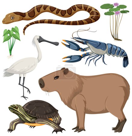 Téléchargez les illustrations : Illustration de diverses collections d'animaux des zones humides - en licence libre de droit