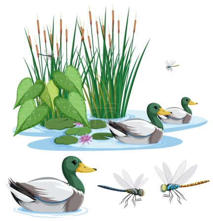 Illustration for Duck Swimming in Pond with Dragonfly illustration - Royalty Free Image