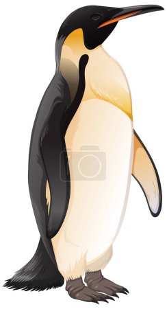 Téléchargez les illustrations : Empereur Pingouin sur fond blanc illustration - en licence libre de droit
