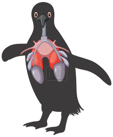Illustration for Penguin respiratory system cartoon illustration - Royalty Free Image