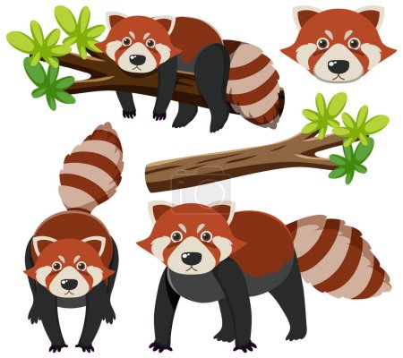 Illustration for Set of red panda cartoon character illustration - Royalty Free Image