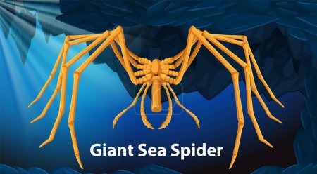 Giant Sea Spider Vector illustration