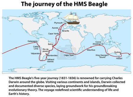 Illustration for The journey of the HMS Beagle Information illustration - Royalty Free Image
