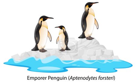 Illustration for Emperor penguin cartoon on the rock illustration - Royalty Free Image