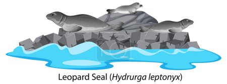 Téléchargez les illustrations : Caricature de phoque léopard sur l'île isolée illustration - en licence libre de droit