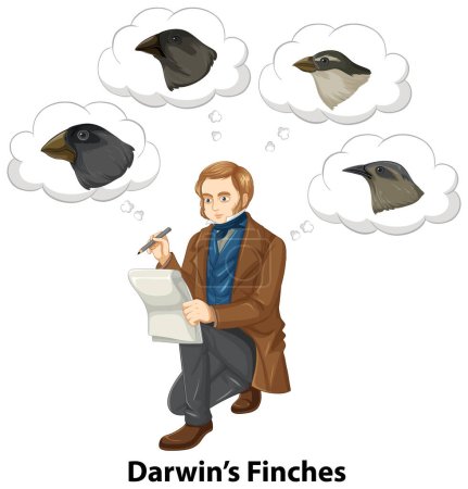 Illustration for Charles Darwin thinking about finches birds illustration - Royalty Free Image