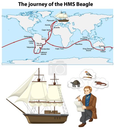 Ilustración de El viaje de la ilustración del HMS Beagle - Imagen libre de derechos