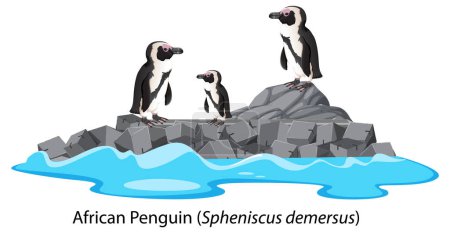 Téléchargez les illustrations : Adelie pingouin dessin animé sur la roche illustration - en licence libre de droit