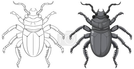 Ilustración de Escarabajo escarabajo Esquema para colorear ilustración - Imagen libre de derechos