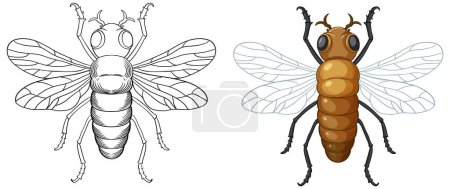 Illustration for Bee Insect Outline for Colouring illustration - Royalty Free Image
