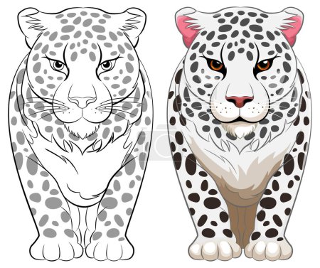 Illustration for A vector cartoon illustration of a white tiger walking in isolation - Royalty Free Image