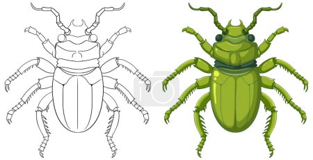 Illustration for Scarab Beetle Outline for Colouring illustration - Royalty Free Image