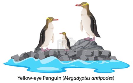 Téléchargez les illustrations : Pingouin aux yeux jaunes dessin animé sur la roche illustration - en licence libre de droit