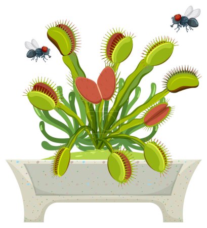 Téléchargez les illustrations : Illustration colorée de mouches planant au-dessus d'une plante de piège à mouches de Vénus - en licence libre de droit