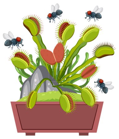 Illustration for Vector cartoon illustration of flies hovering above a Venus flytrap - Royalty Free Image