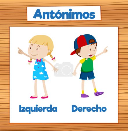 Téléchargez les illustrations : Illustration vectorielle des antonymes en espagnol - en licence libre de droit