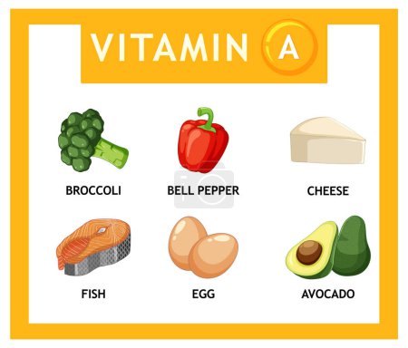 Téléchargez les illustrations : Découvrez une variété d'aliments nutritifs riches en vitamine A - en licence libre de droit